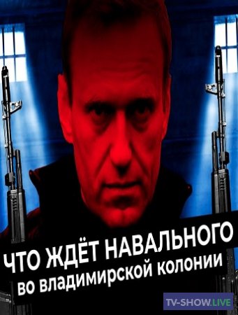 Колония Навального: самая жестокая зона России (2021)