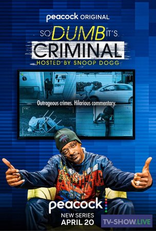 So Dumb It's Criminal: Hosted by Snoop Dogg 1 сезон (2022) ВСЕ выпуски